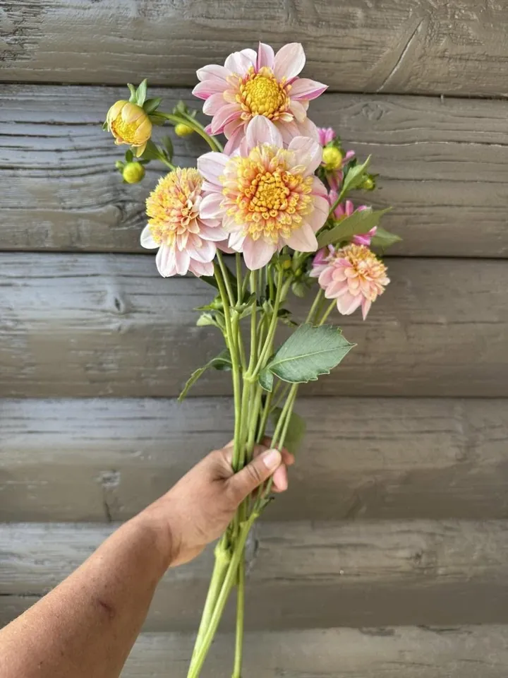 Photo: specialty cut flowers