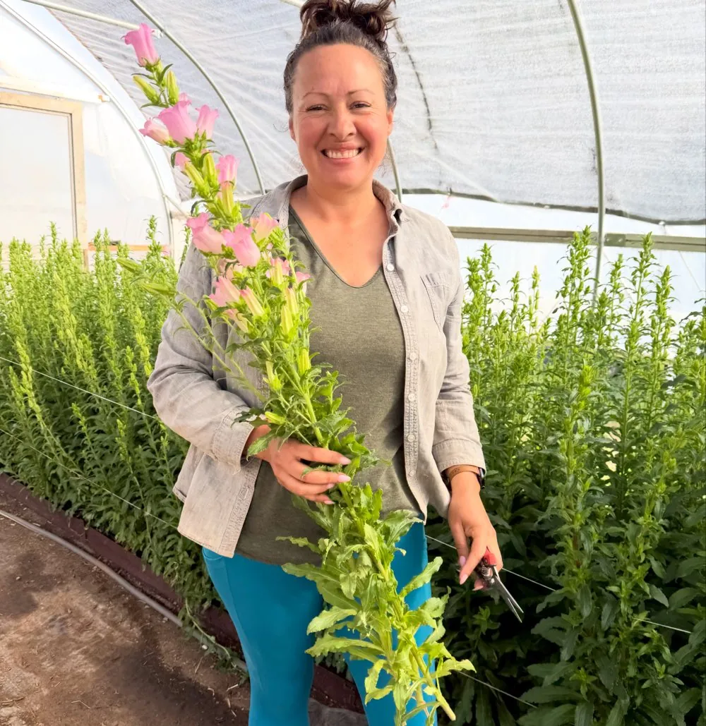 Photo: Erin cutting flowers inside a hoop house
